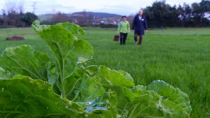 Aquí la Tierra - Berzas y fariñonas, unión perfecta