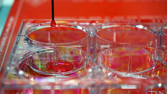 Telediario 1 - Científicos españoles diseñan una bioimpresora 3D de piel humana