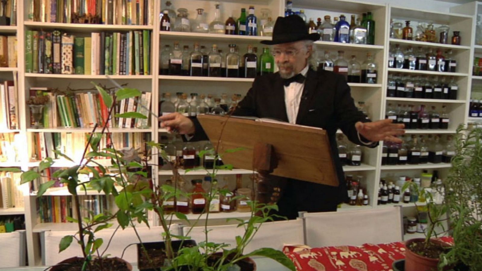 La música de las plantas