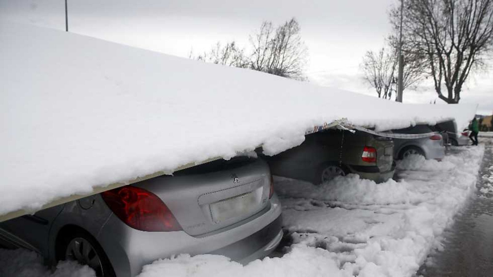 Telediario - 8 horas - 24/01/17 - ver ahora