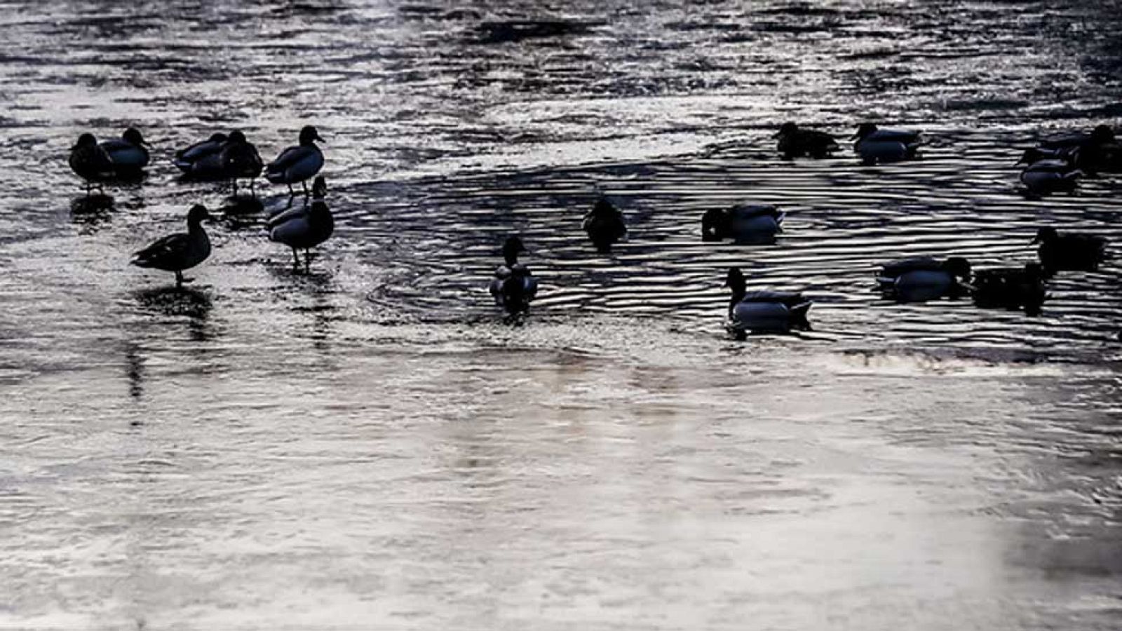 El Tiempo en la Comunidad de Madrid - 24/01/17
