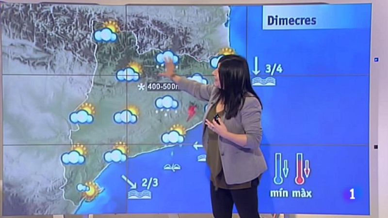 El Temps - 24/01/2017