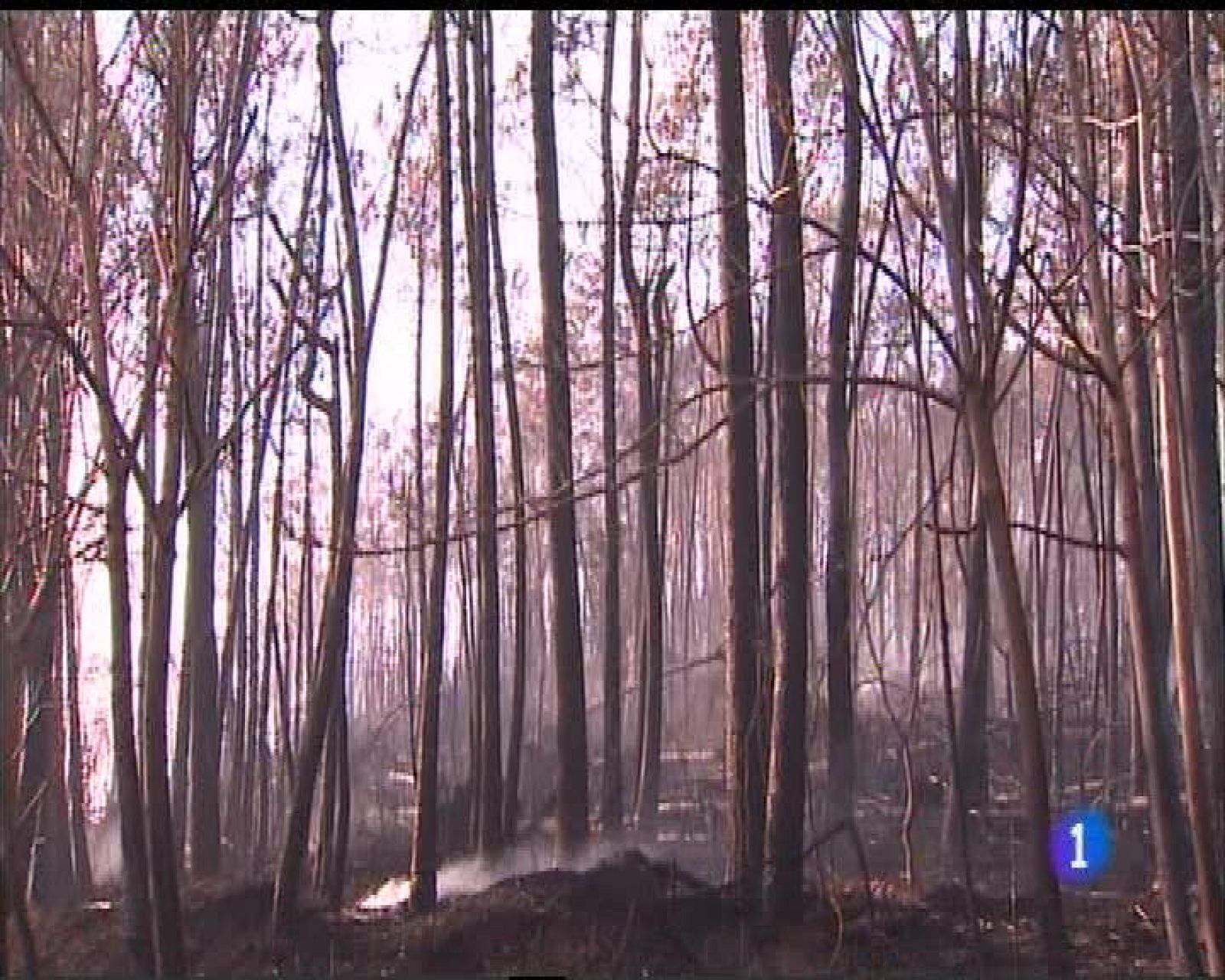 Asturias en 2' - 24/01/17 | Ver