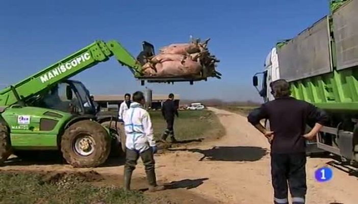 Noticias Aragón - Noticias Aragón - 24/01/17