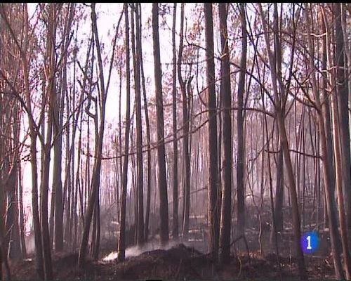 Panorama Regional - Panorama Regional - 24/01/17