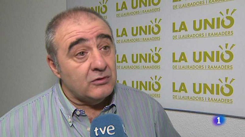 L'Informatiu - Comunitat Valenciana 2 - 24/01/17 - ver ahora