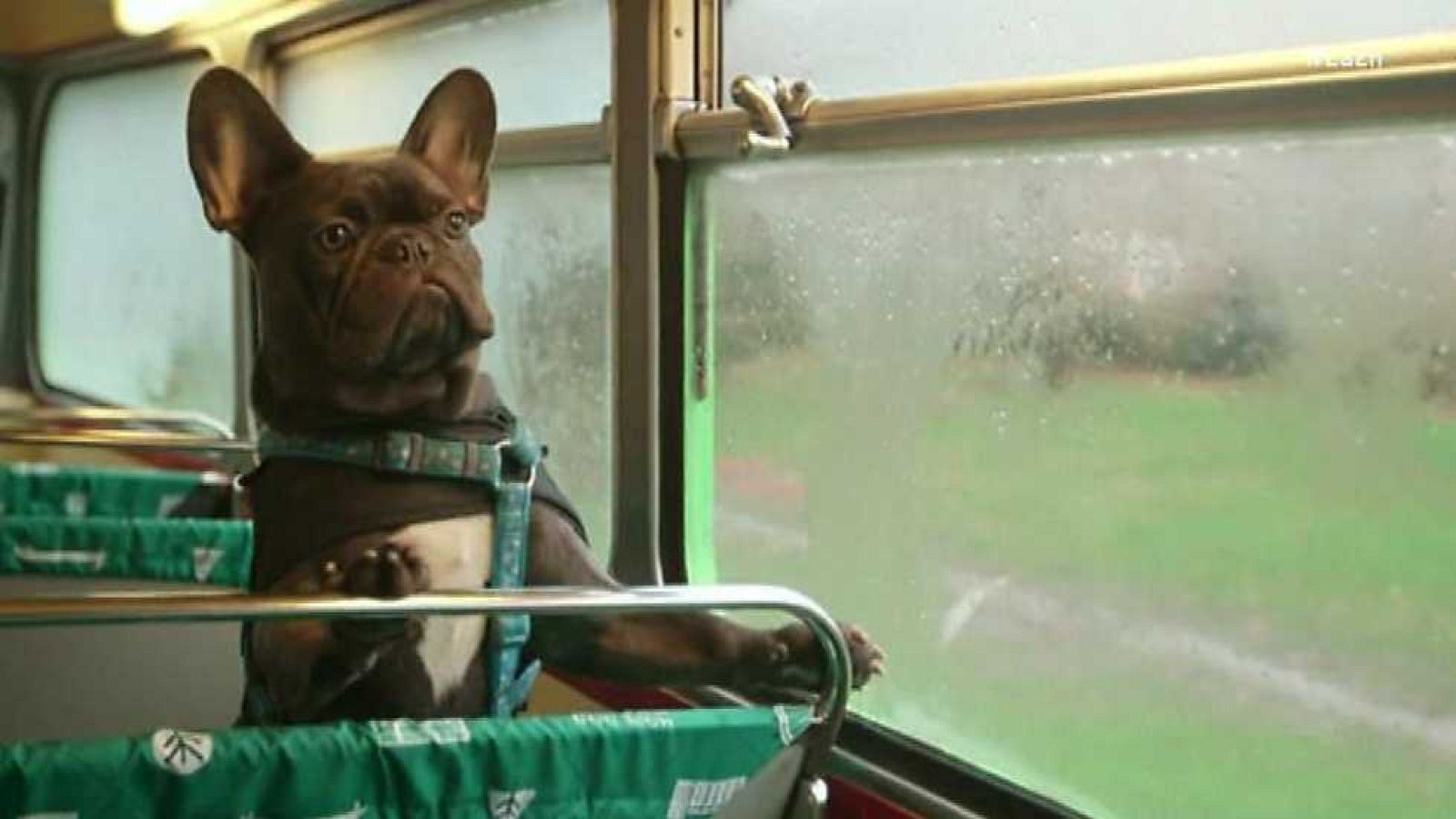 La 2 Noticias - 24/01/17 - ver ahora