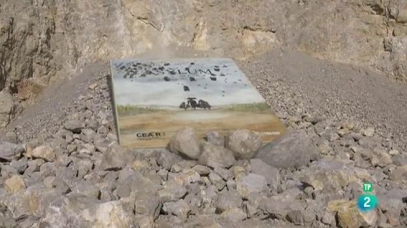 Página Dos - Las recomendaciones del programa