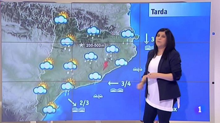 L'Informatiu - El Temps - 25/01/2017