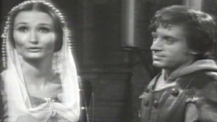 Estudio 1 - Las flores de Aragón