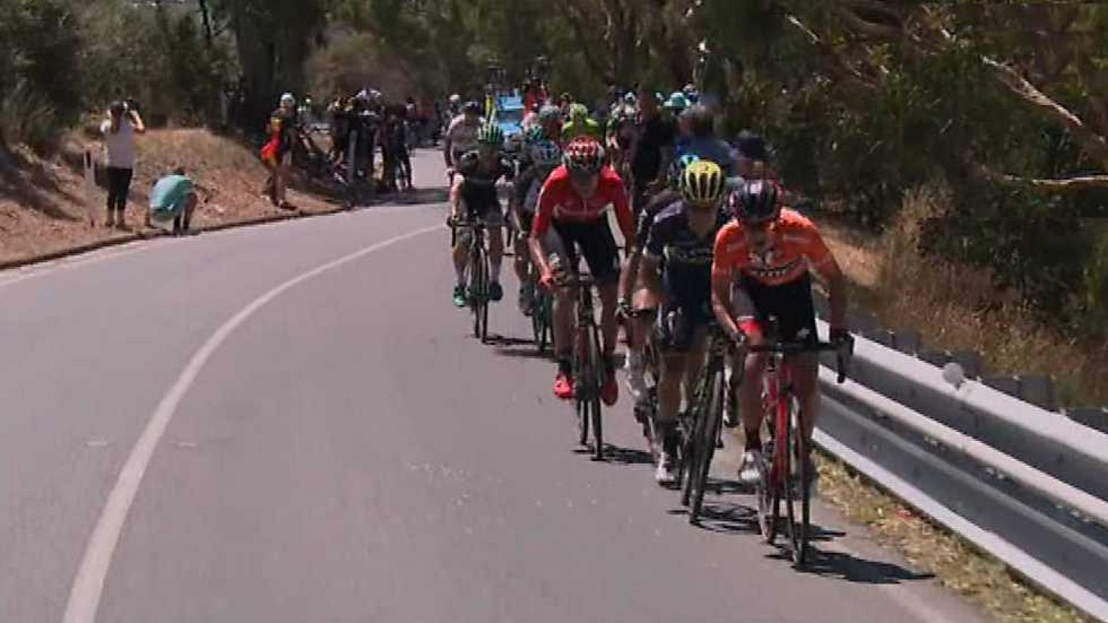 Ciclismo - Tour Down Under 2017. Resumen - ver ahora