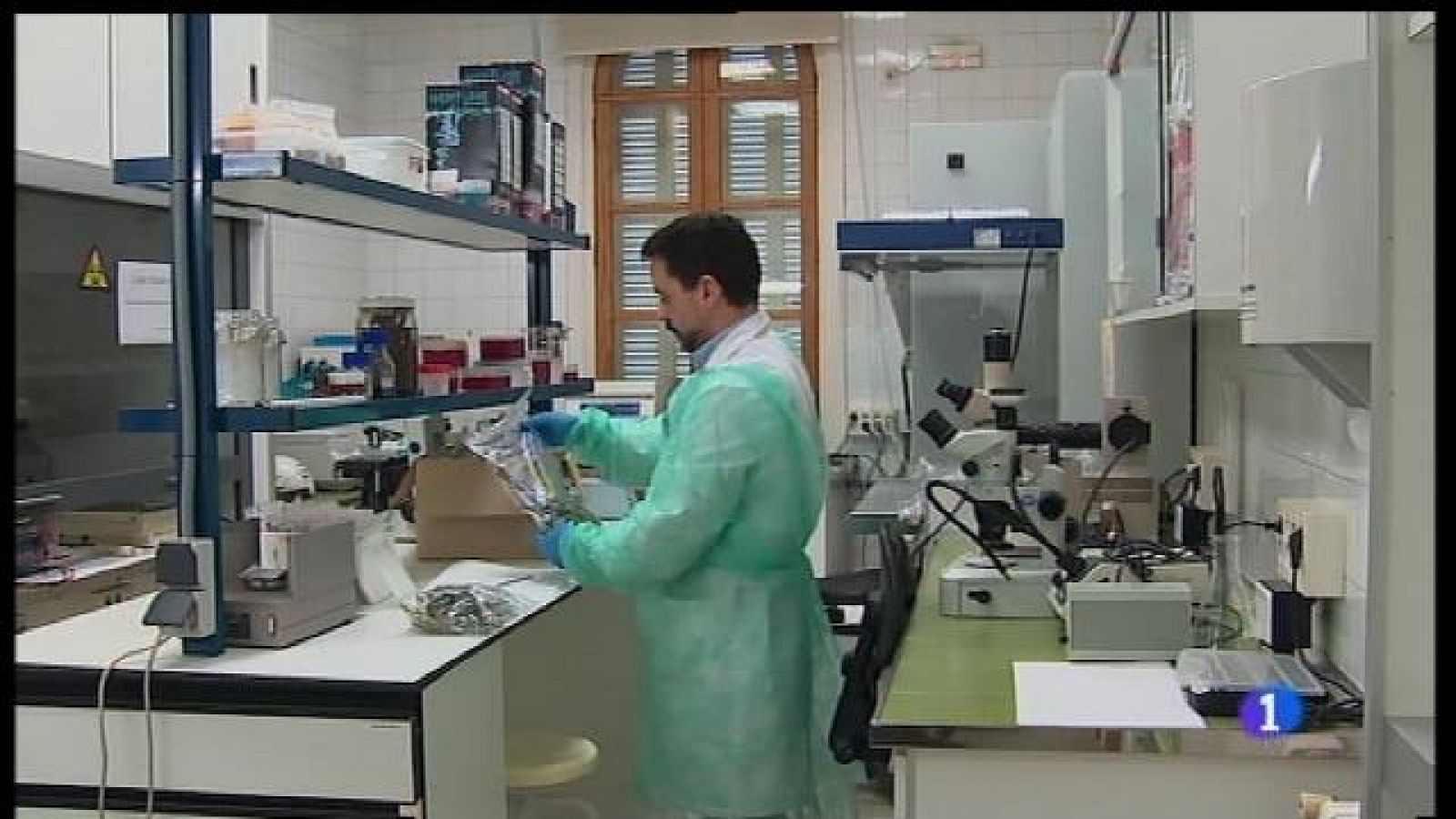 El laboratori de sanitat vegetal analitza mostres per detectar la xylella fastidiosa
