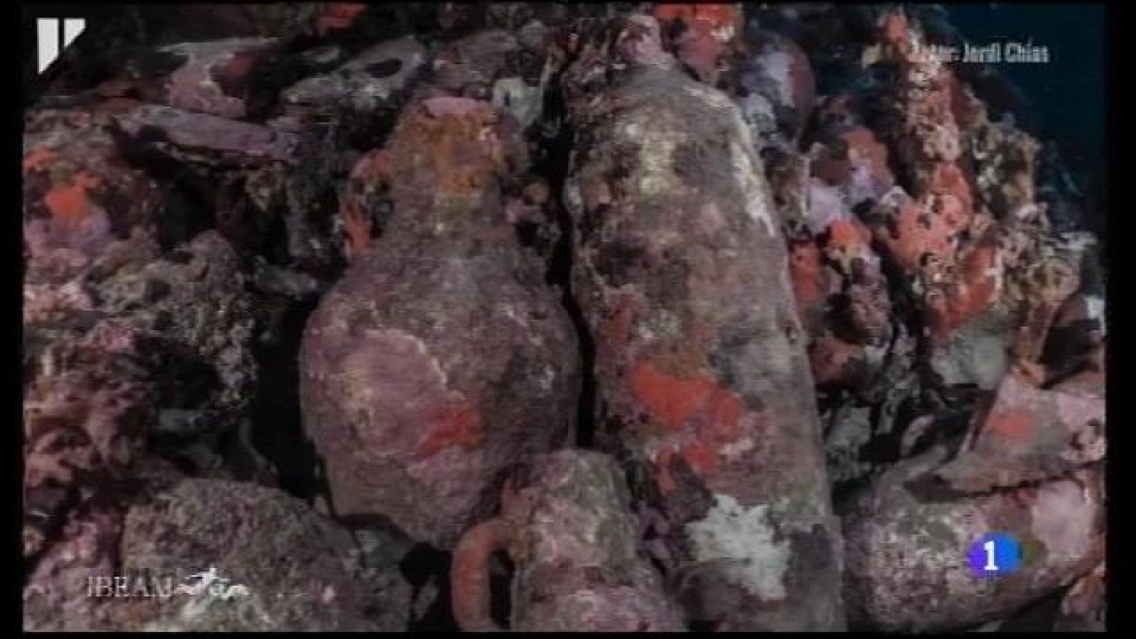 Descobert un nou derelicte amb més de mil àmfores al Parc Nacional de Cabrera