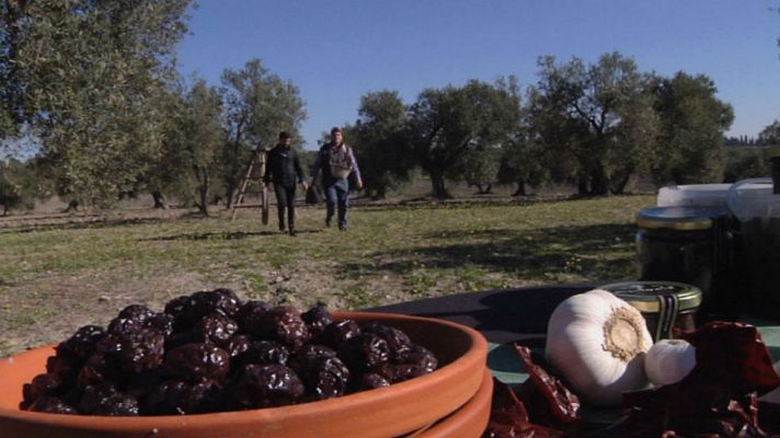 Aquí la Tierra - Aceituna prieta, sabor a campo