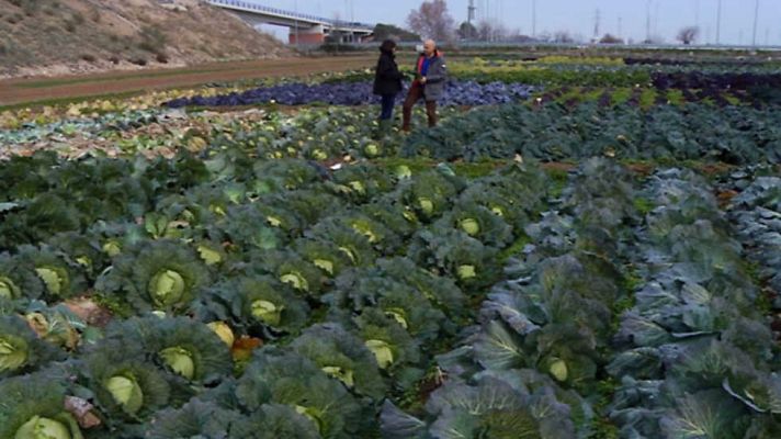 Aquí la Tierra - Aquí la Tierra - 27/01/17