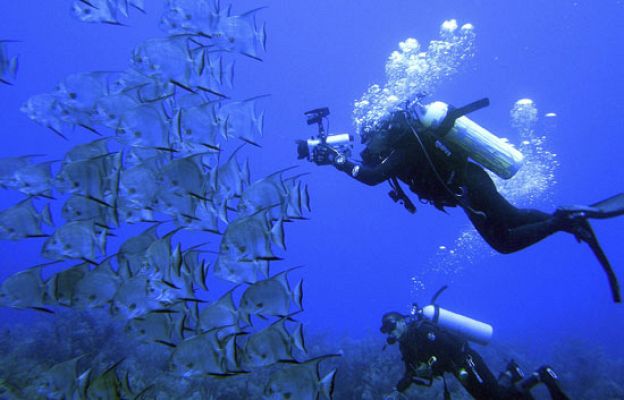 Ciencia y tecnología en Rtve.es - En defensa de los fondos marinos
