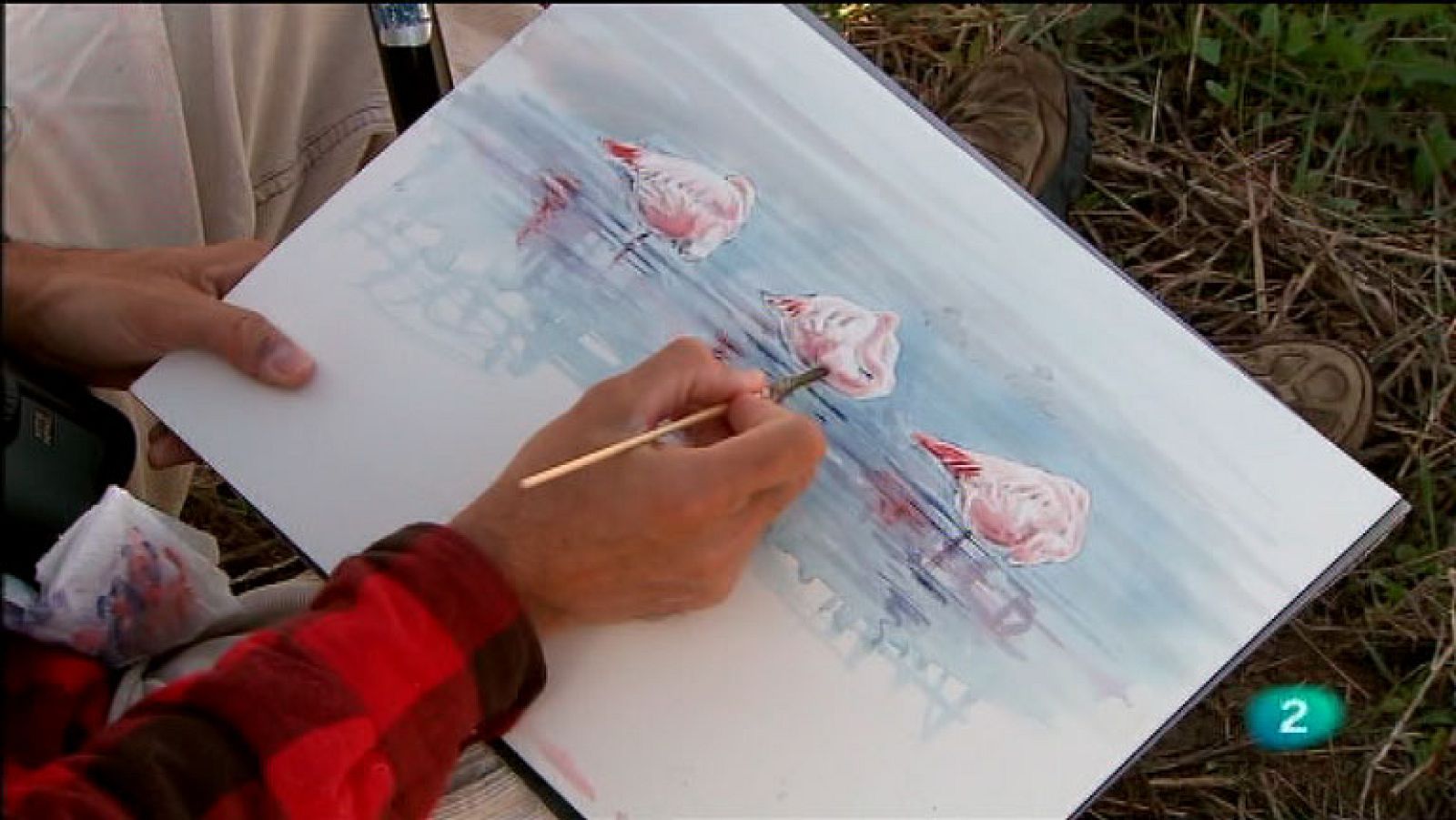 La Aventura del Saber. TVE. Serie 'Artistas de naturaleza'.  Francisco J. Hernández