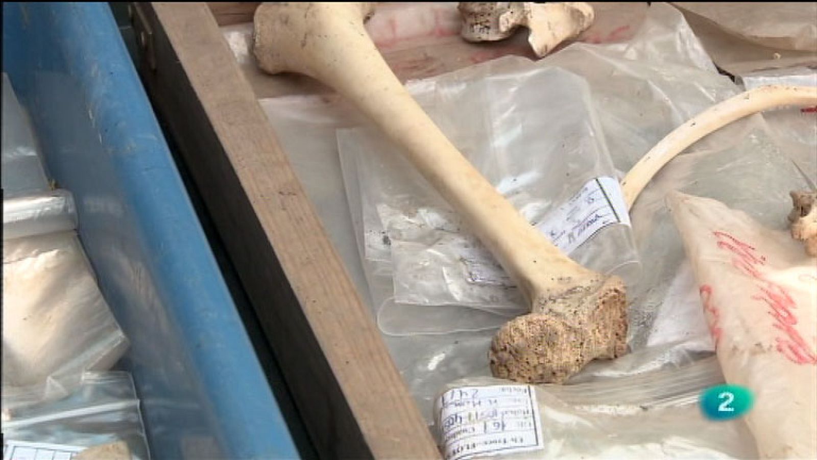 La Aventura del Saber. TVE. Serie documental 'El túnel del tiempo'. Los protagonistas