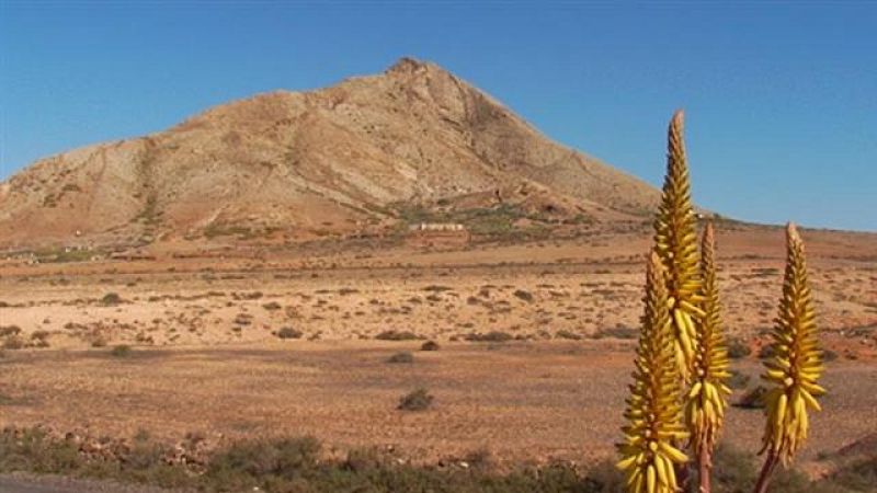 El tiempo en Canarias - 30/01/2017