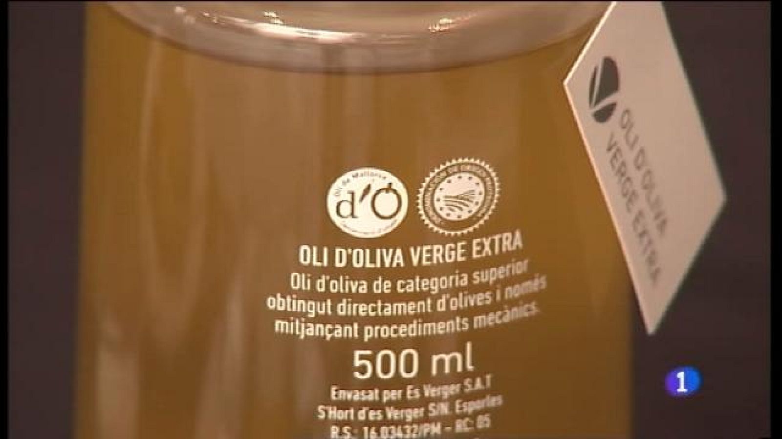 Els productors d'oli, preocupats per l'extensió del bacteri xylella fastidiosa