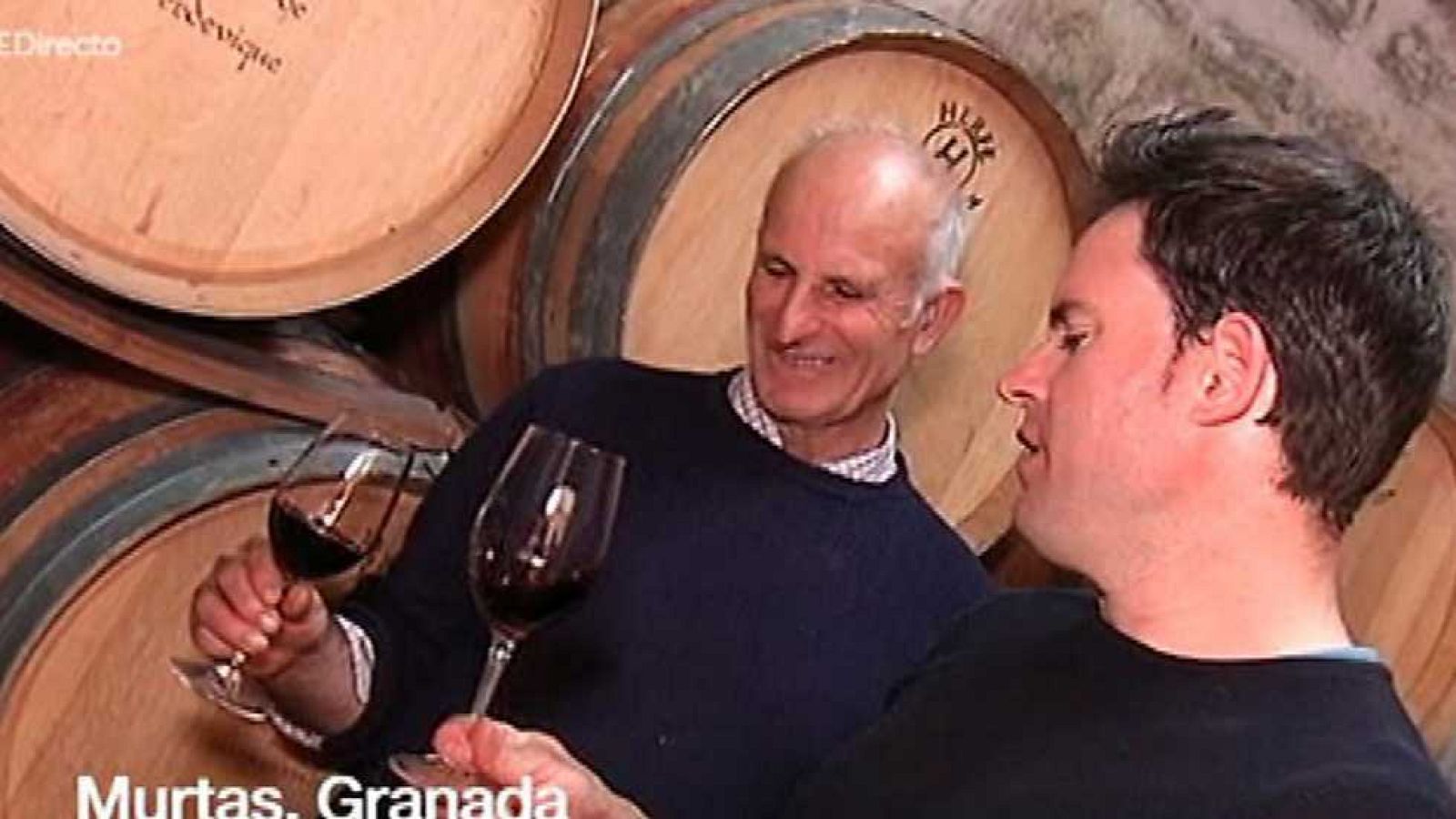 España Directo - 30/01/17 - ver ahora