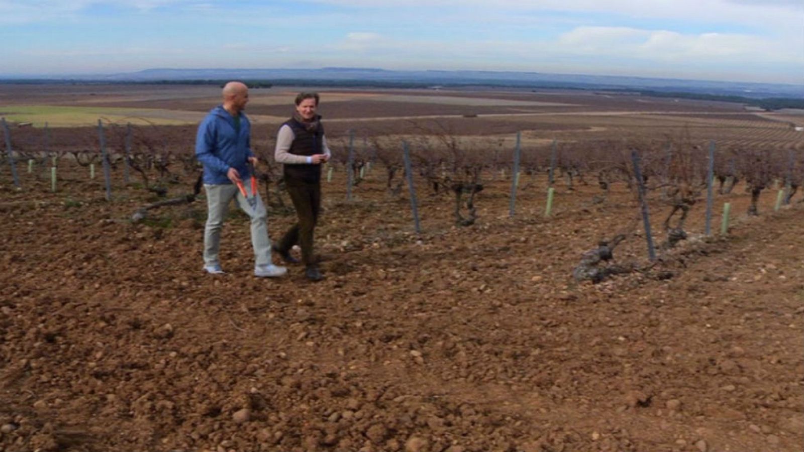 Vino con acento francés