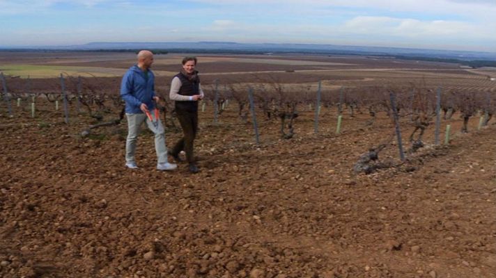 Aquí la Tierra - Vino con acento francés