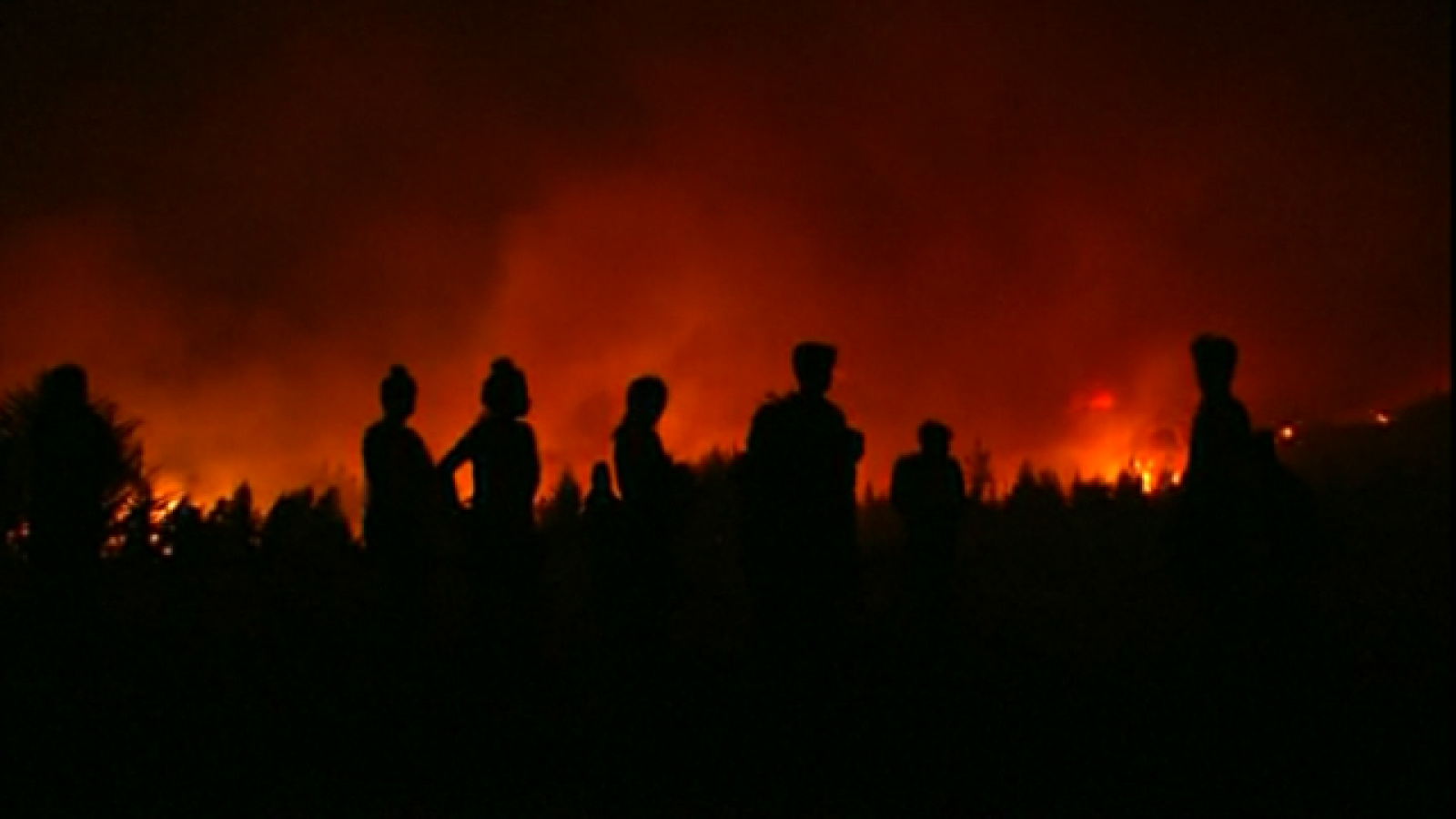 Teleplaneta - 30/01/2017