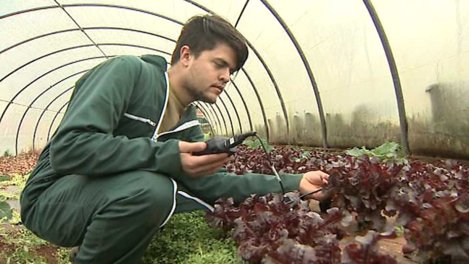 Aquí hay trabajo - 01/02/17 - ver ahora