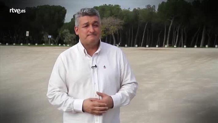 Millennium - Vivir la adolescencia - Millennium reportaje