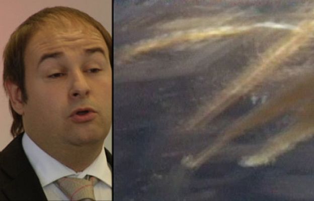 Fábrica de ideas - Invierte: Cultivos Marinos