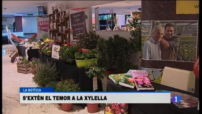 Informatiu Balear - 02/02/17