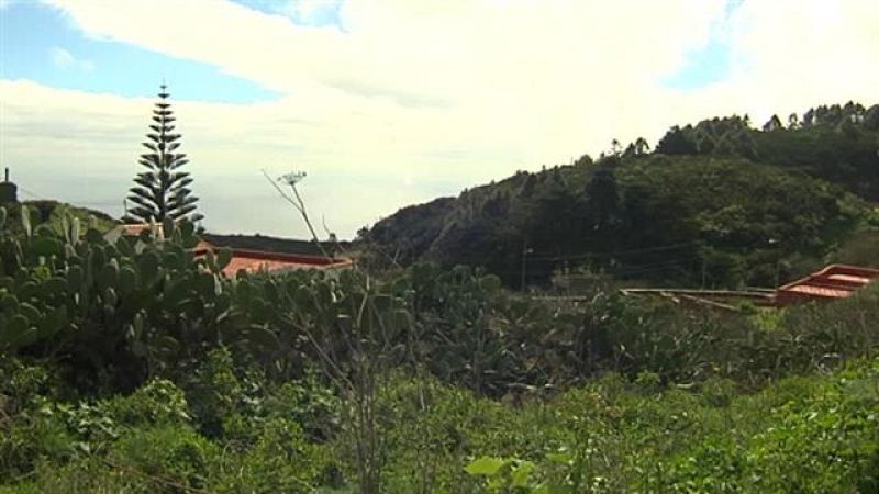 El tiempo en Canarias - 02/02/2017