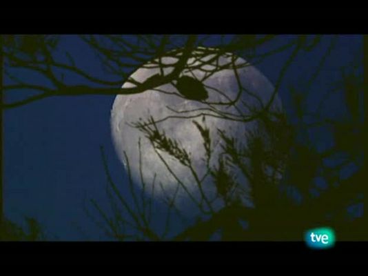 Jara y sedal - El arte cinegético