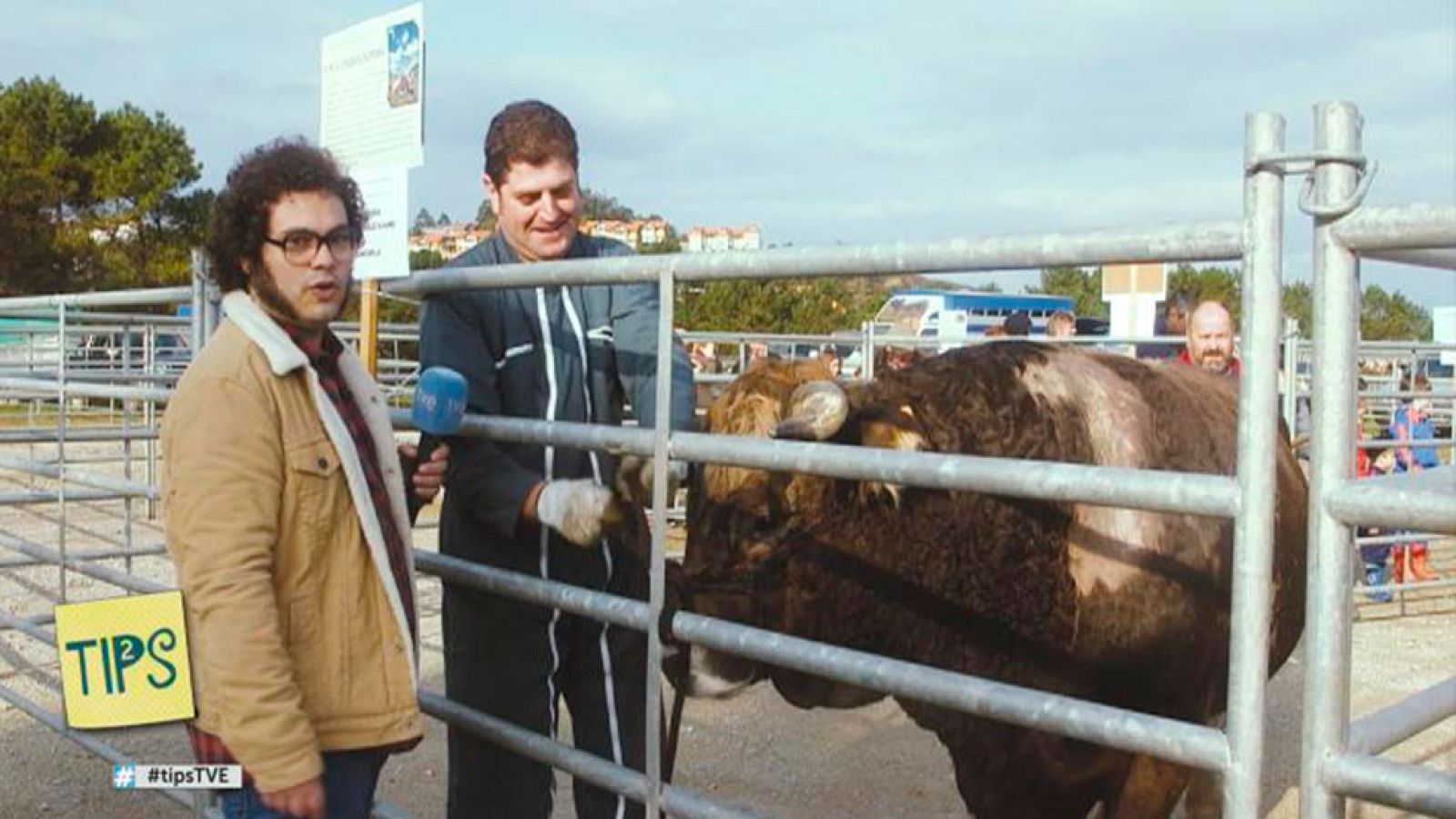 TIPS - Ida y vuelta - San Vicente de la Barquera