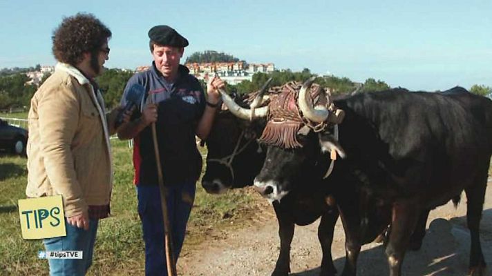 Tips - Tips - 03/02/17