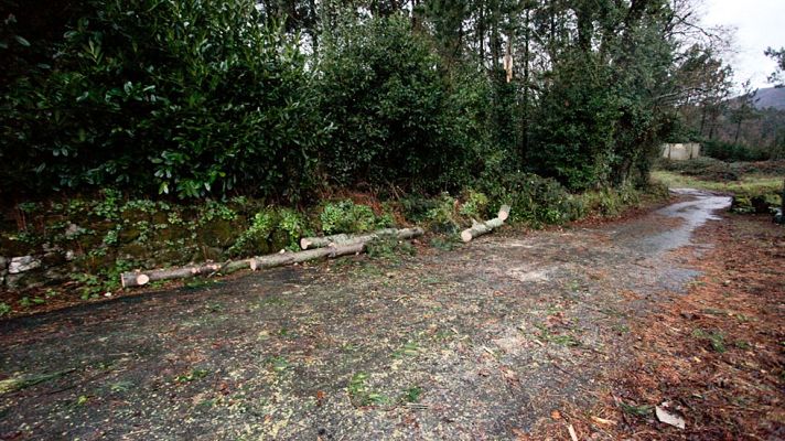 Telediario 1 - El temporal deja un muerto y ocho heridos en Galicia