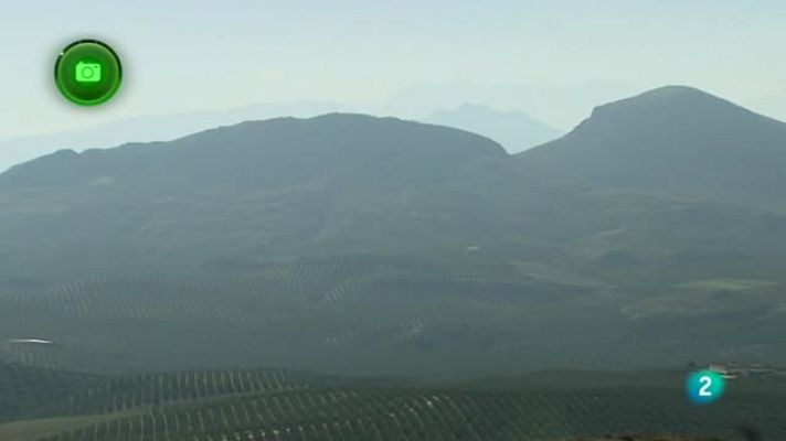 Agrosfera - Sierra Mágina, Jaen