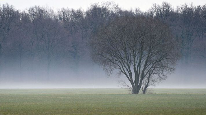Informativo de Madrid - El Tiempo en la Comunidad de Madrid - 06/02/17
