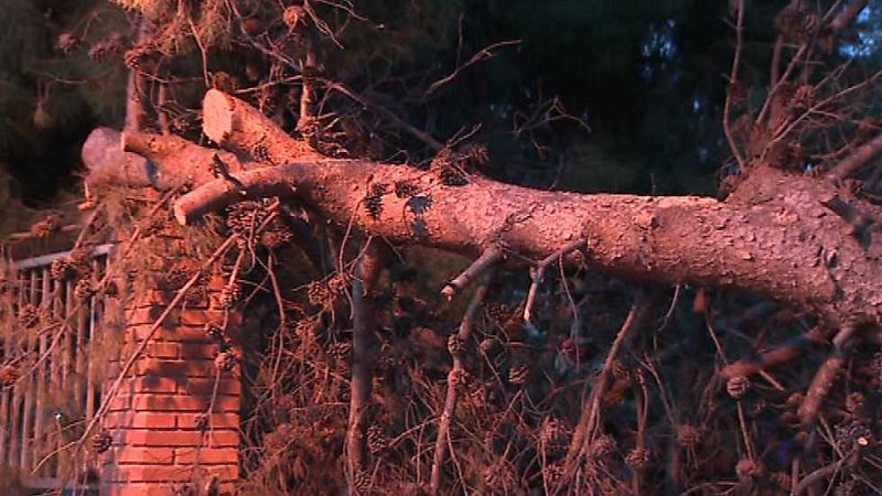 La Comunidad Valenciana en 2' - 06/02/17 - ver ahora