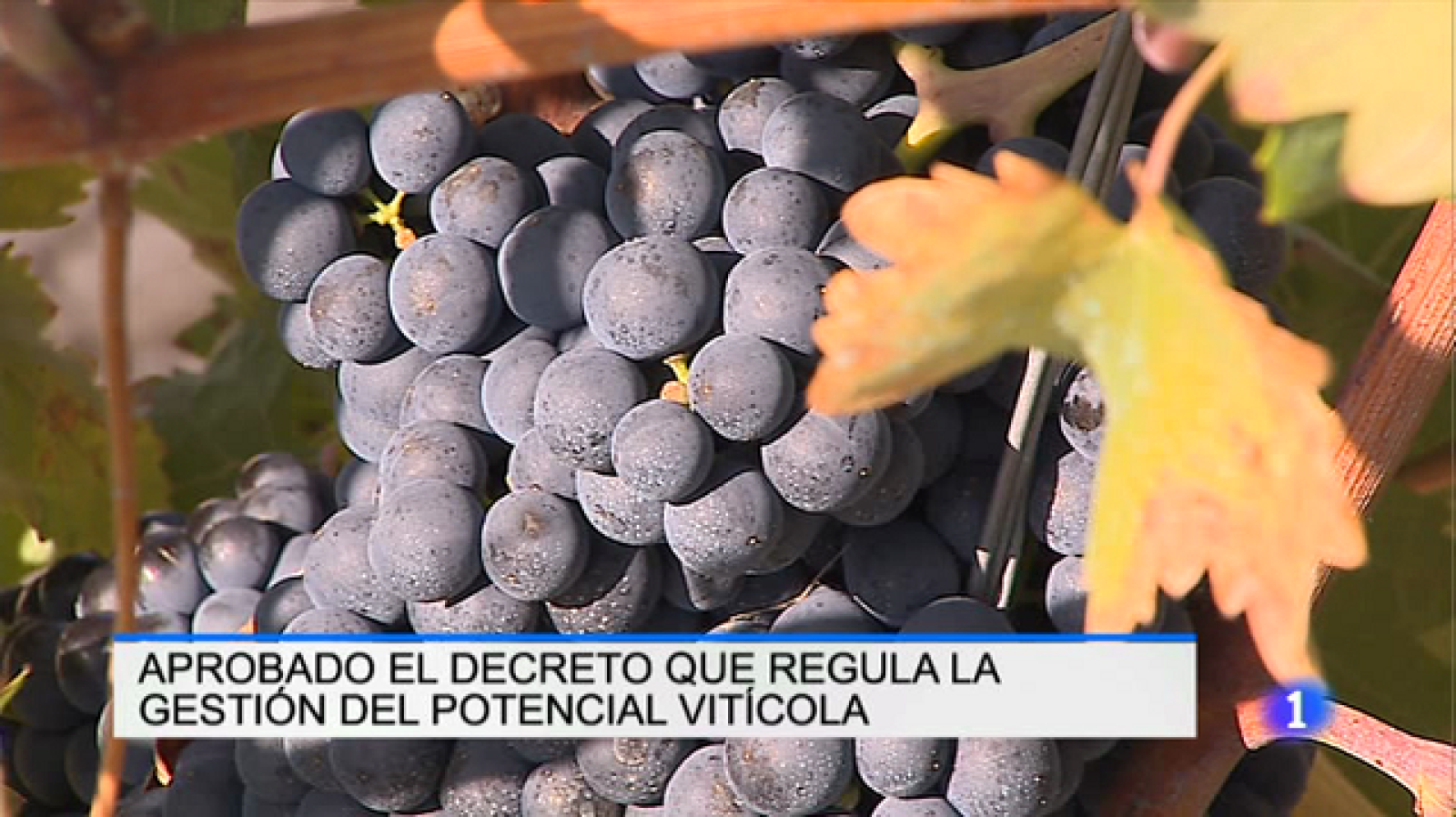 Telerioja en 2' - 06/02/17