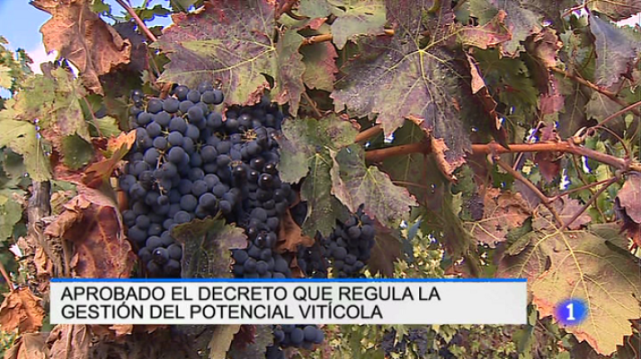 Informativo Telerioja - Informativo Telerioja 2 - 06/02/17