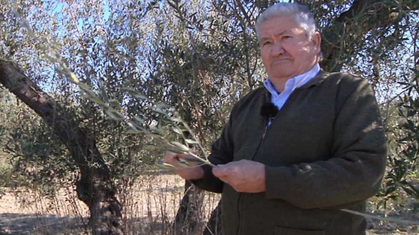 Aquí la Tierra - 06/02/17 - ver ahora