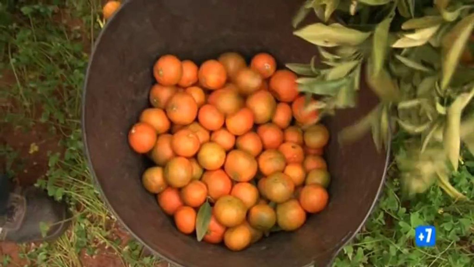 Comando Actualidad - Guerra de precios - Avance