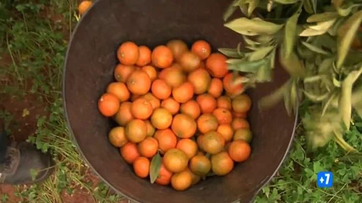 Comando Actualidad - Guerra de precios - Avance