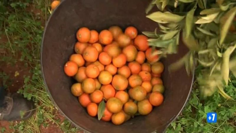 Comando Actualidad - Guerra de precios - Avance