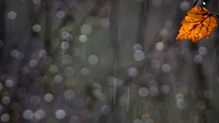 El tiempo - Lluvia en el Cantábrico y nevadas en Pirineos, Navarra y País Vasco
