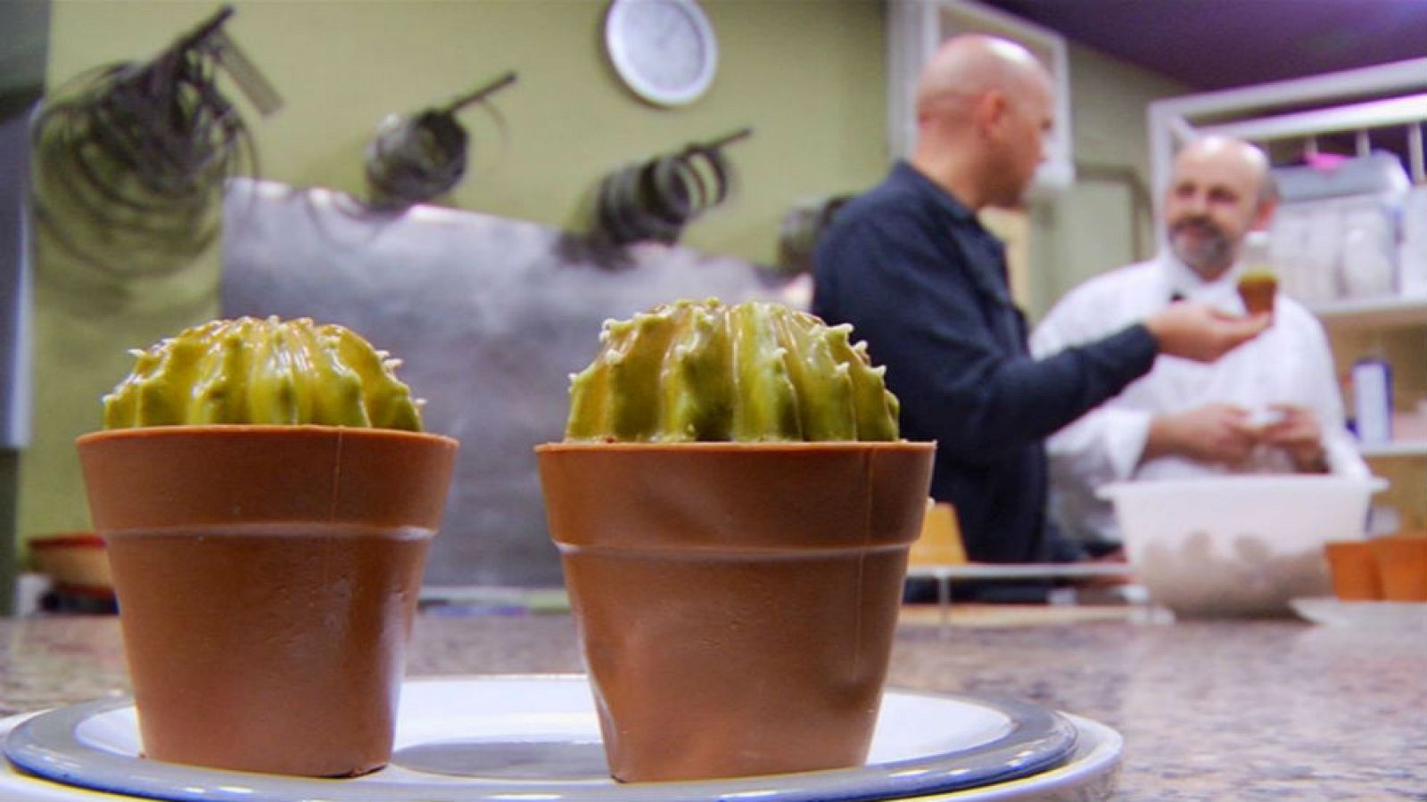 Cactus comestibles ¡y mucho más!