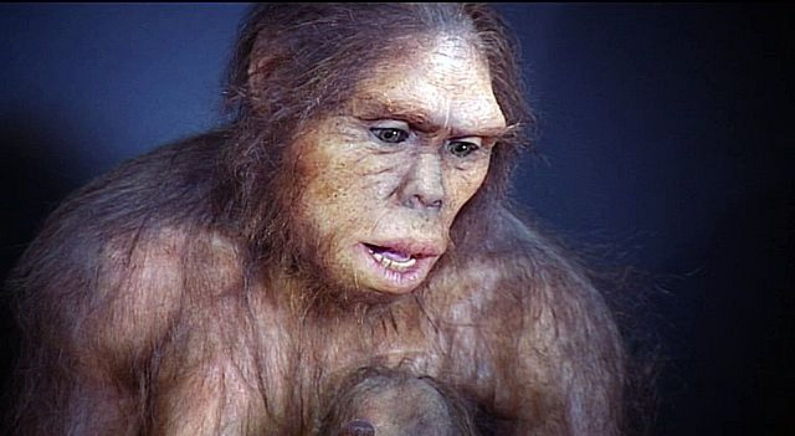 Prehistoria. Tras las huellas de los primeros humanos