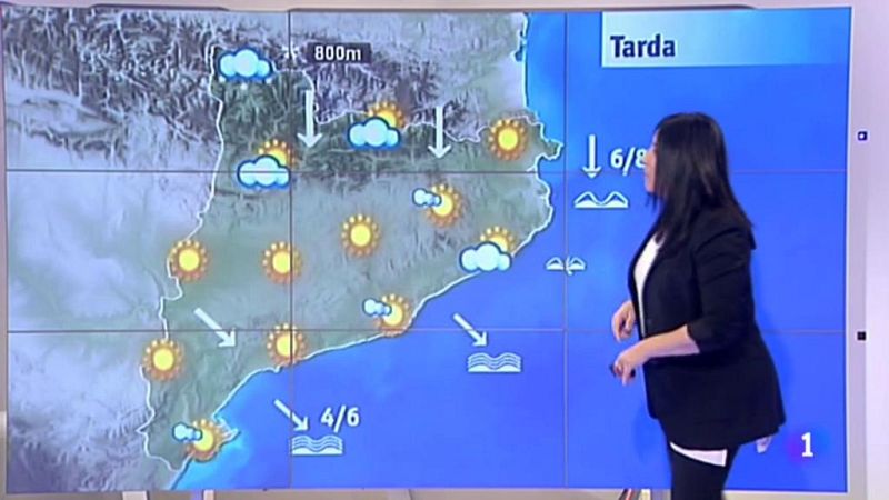 El Temps - 08/02/2017